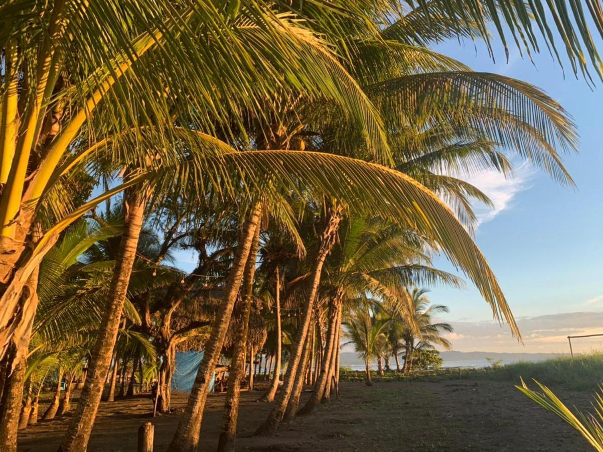 Hotel Oasis & Surf Camp Santa Catalina Luaran gambar