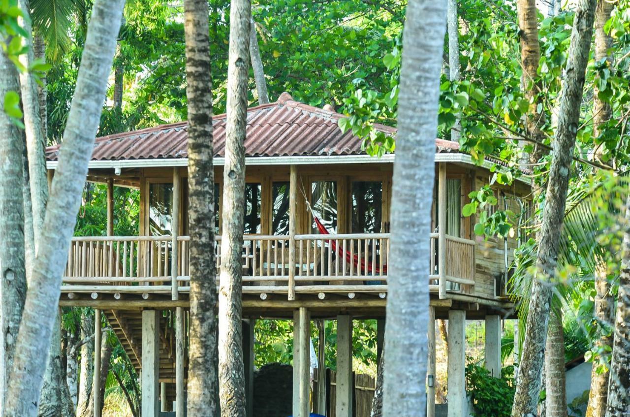 Hotel Oasis & Surf Camp Santa Catalina Luaran gambar